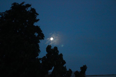 Moonlit Sky