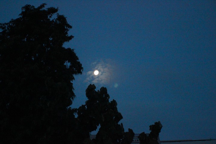 Moonlit Sky