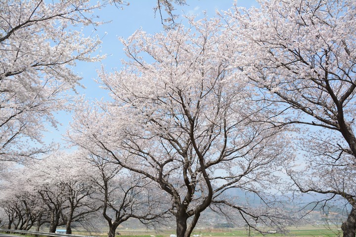 하동이미지