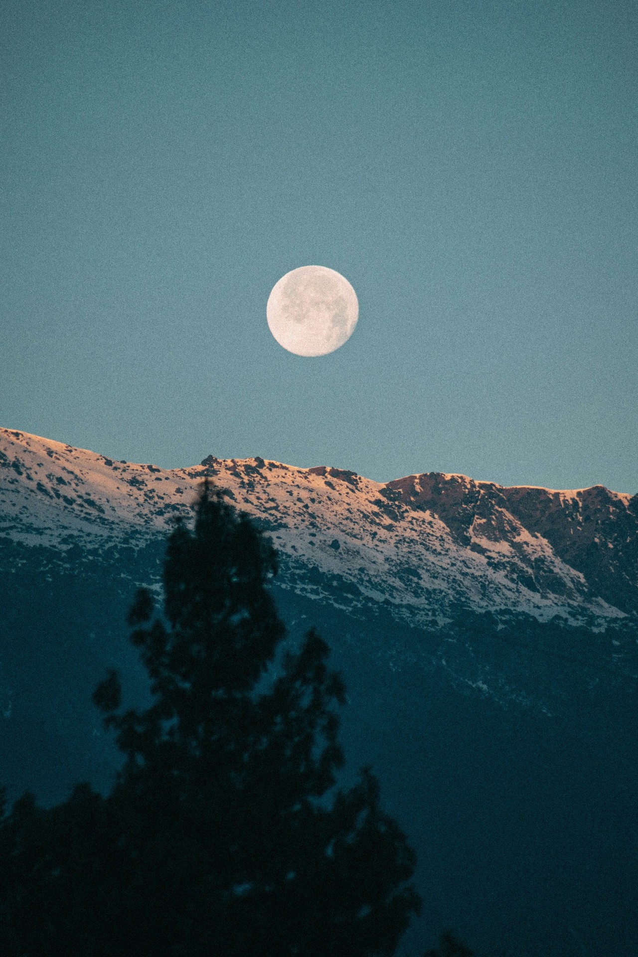 обои terrain, moon