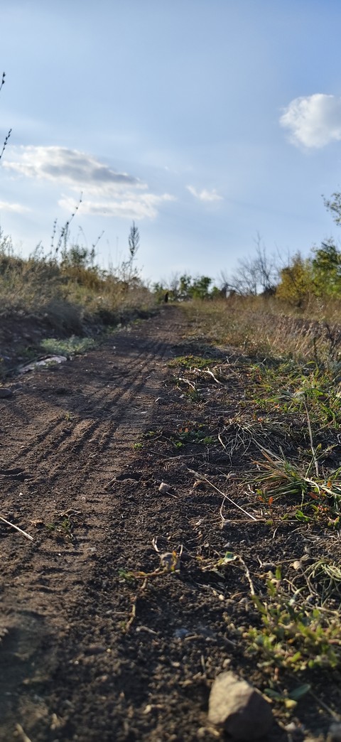 Path