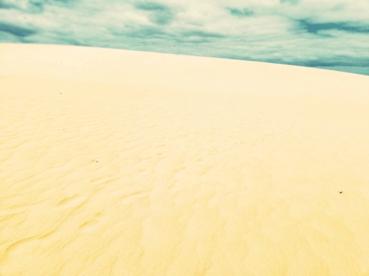 dunes