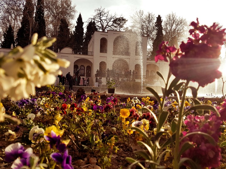 Shazdeh Garden