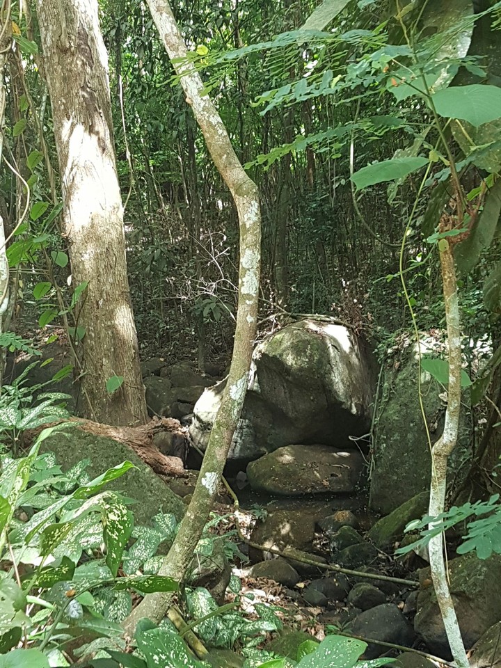 Nature
