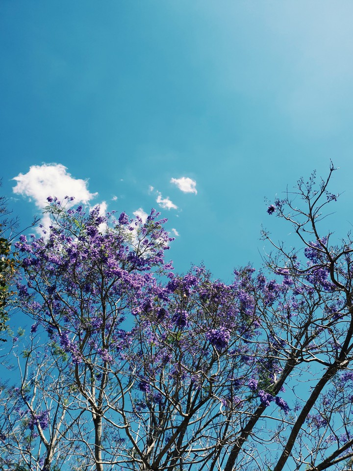 Dalat