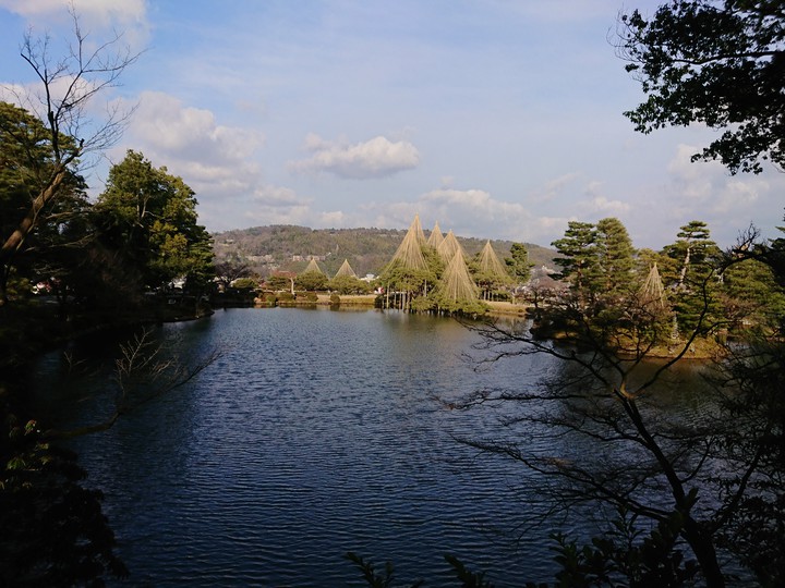 pond