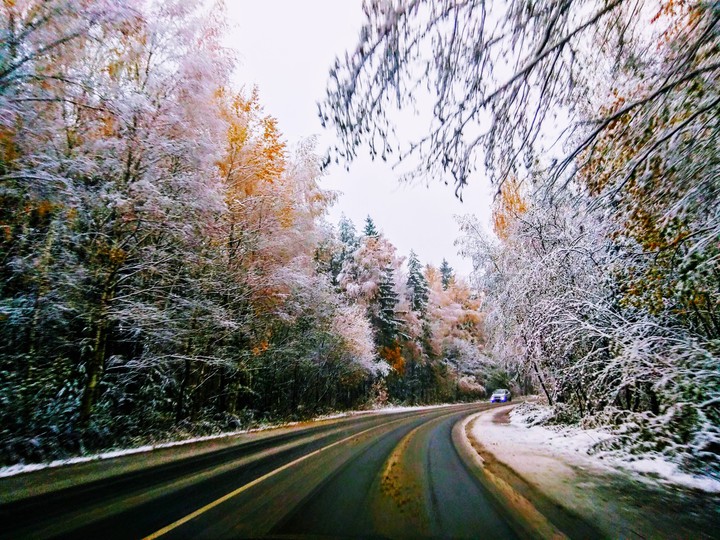 The road
