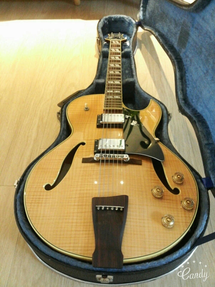 Guitar