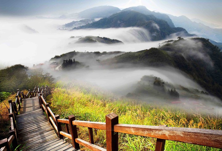 Brouillard