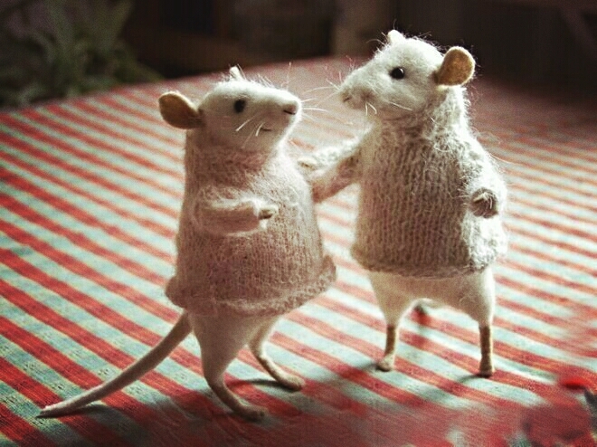 mouse
