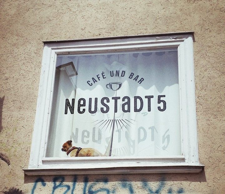 chien de café