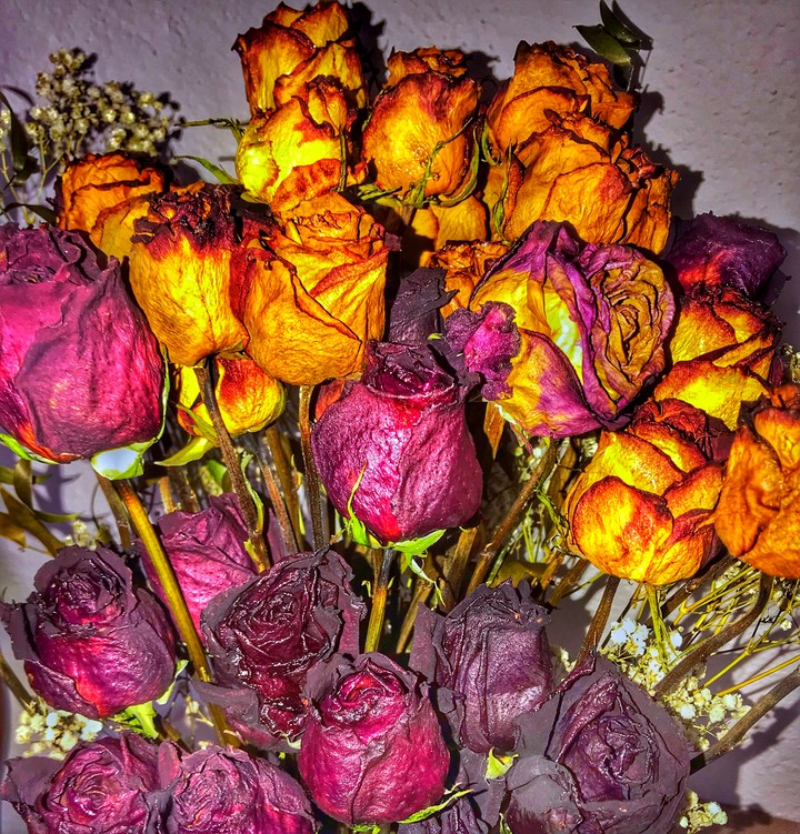roses