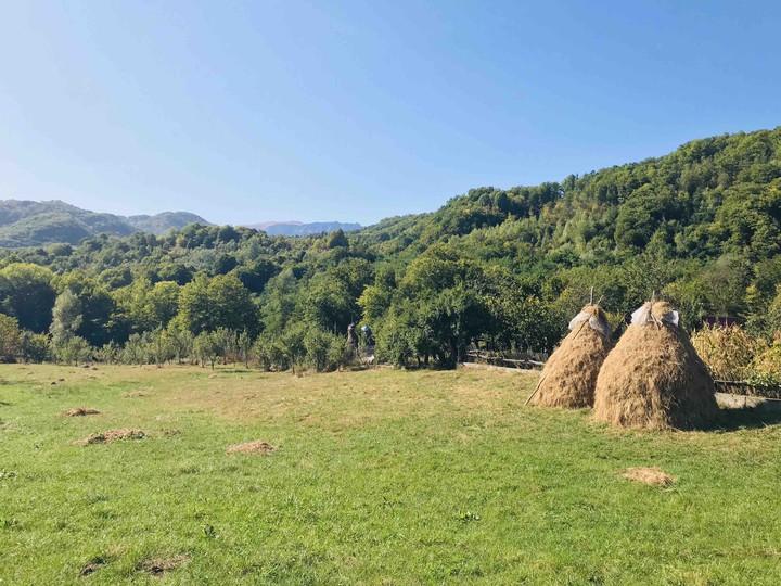 country landscape