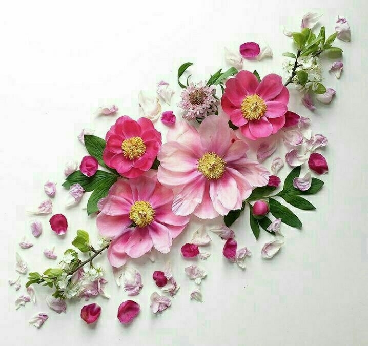 ♡◇