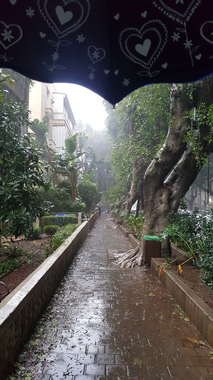 singing in the rain