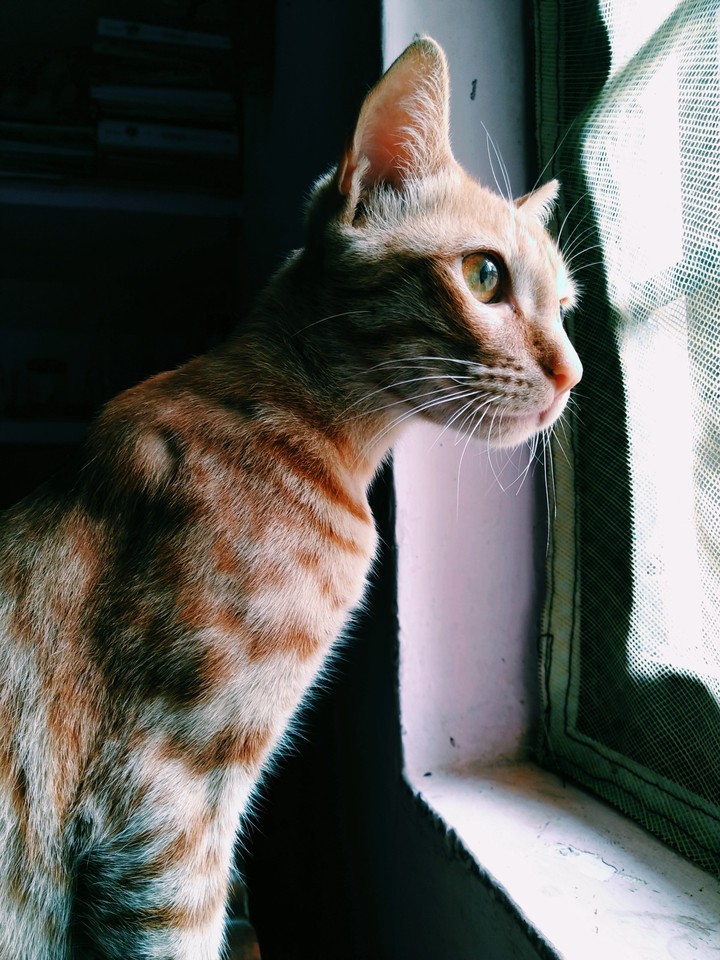 Billy