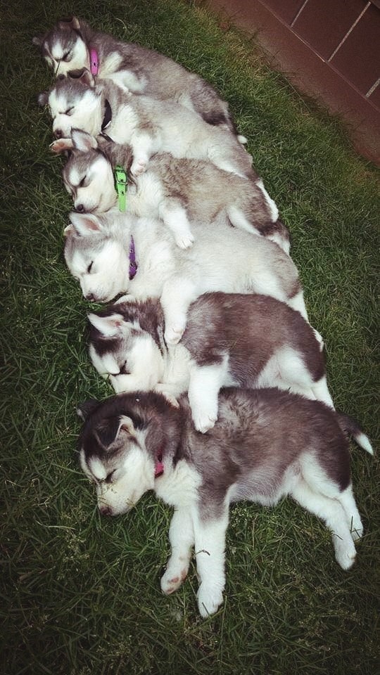 ❤