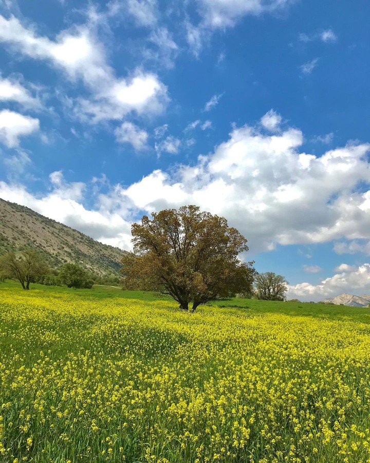 Anarak Nature