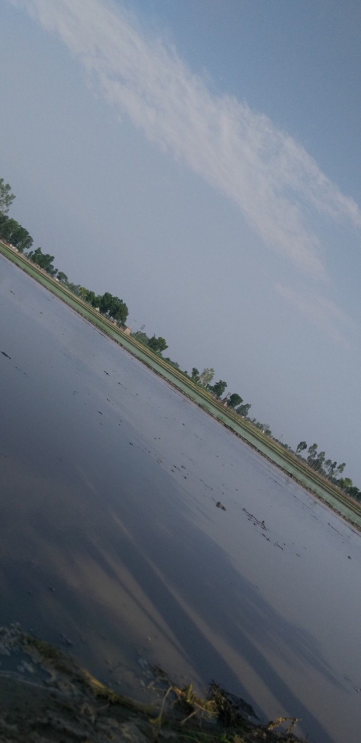 peaceful