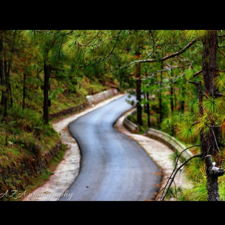 Road