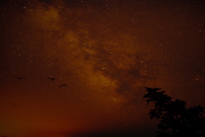Flight
