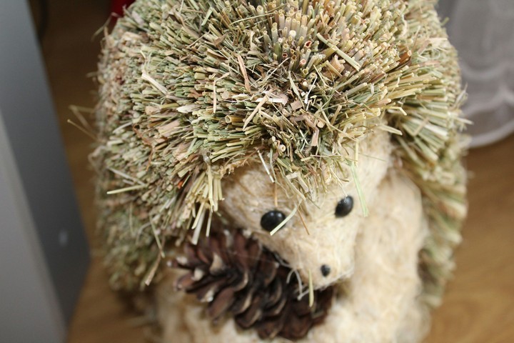 hedgehog