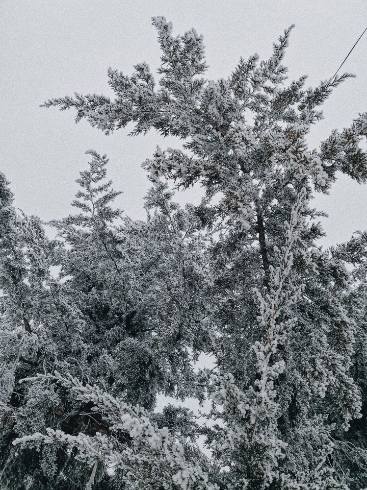 winter
