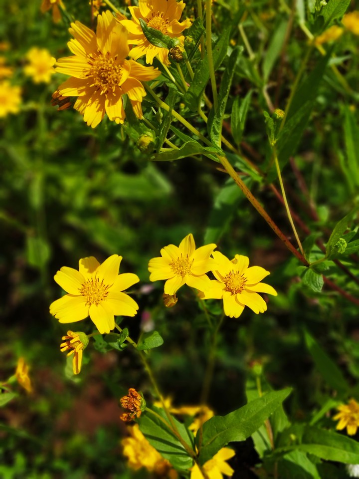 Nature photography....
