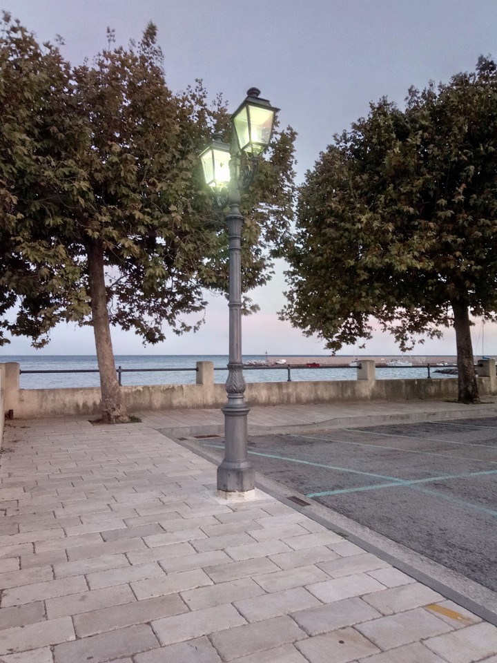 Scario