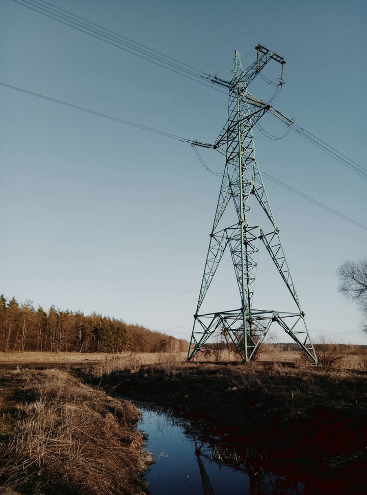 Near the forest