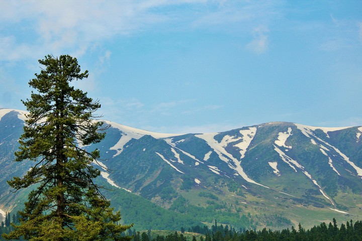Presence of Nature 