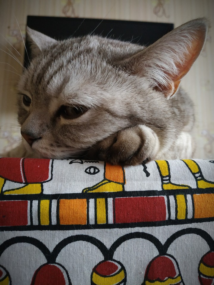 Джемик