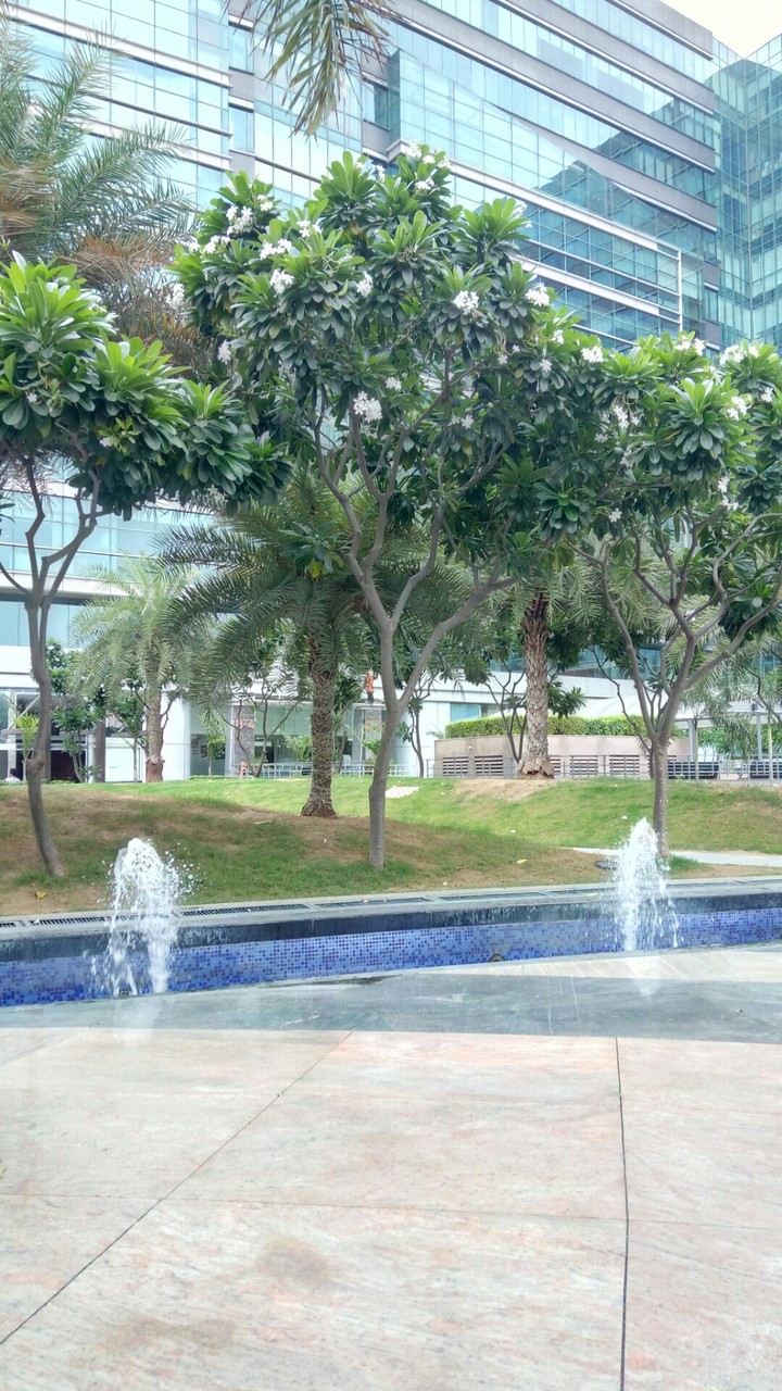 Spaze Itech Park