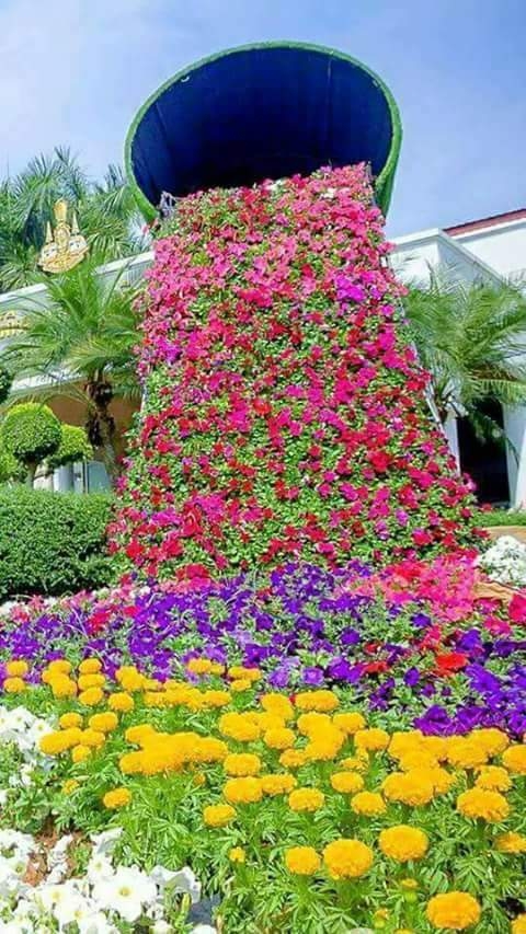 flowers