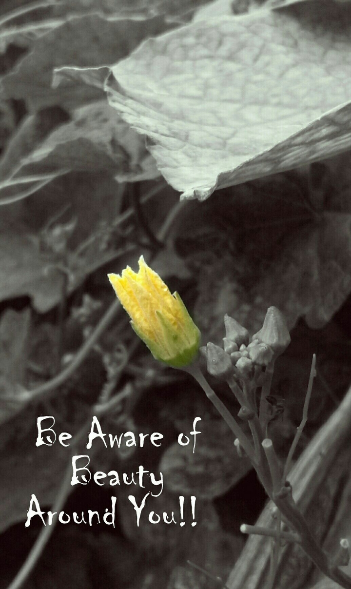 Quote