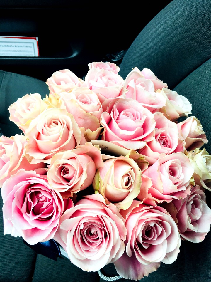 rose ,all for you