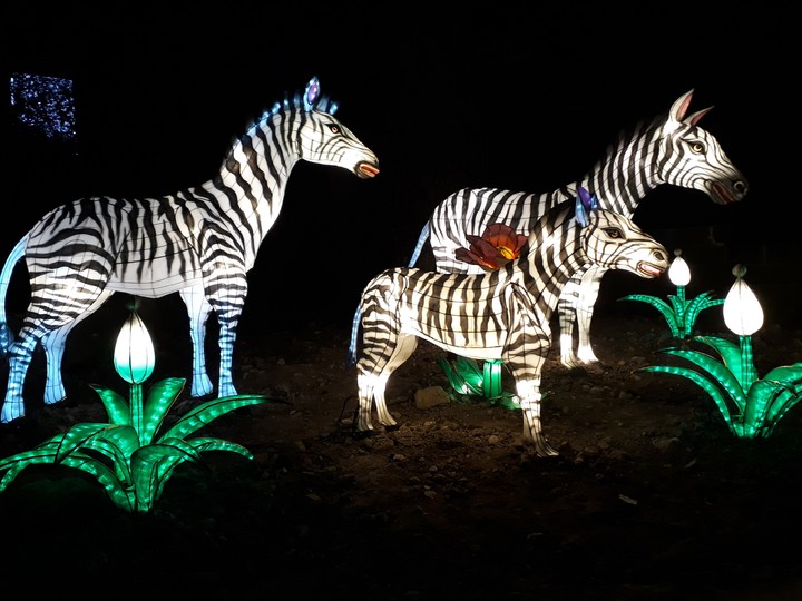 Lichterweld