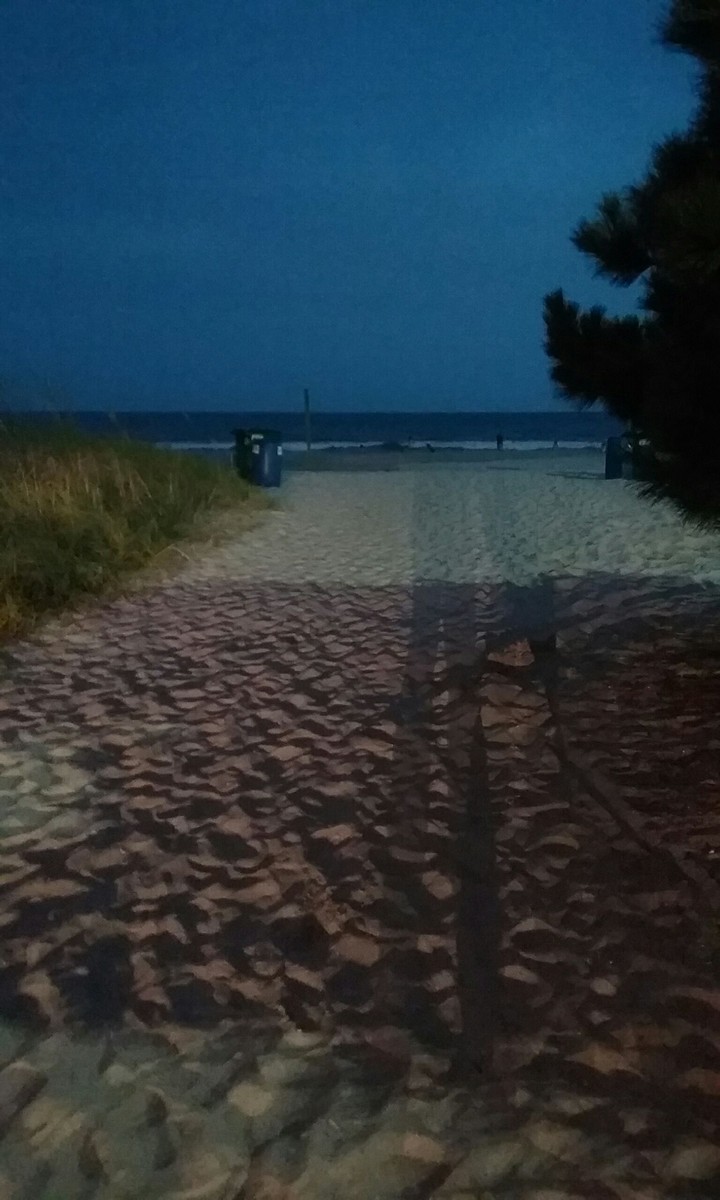 night