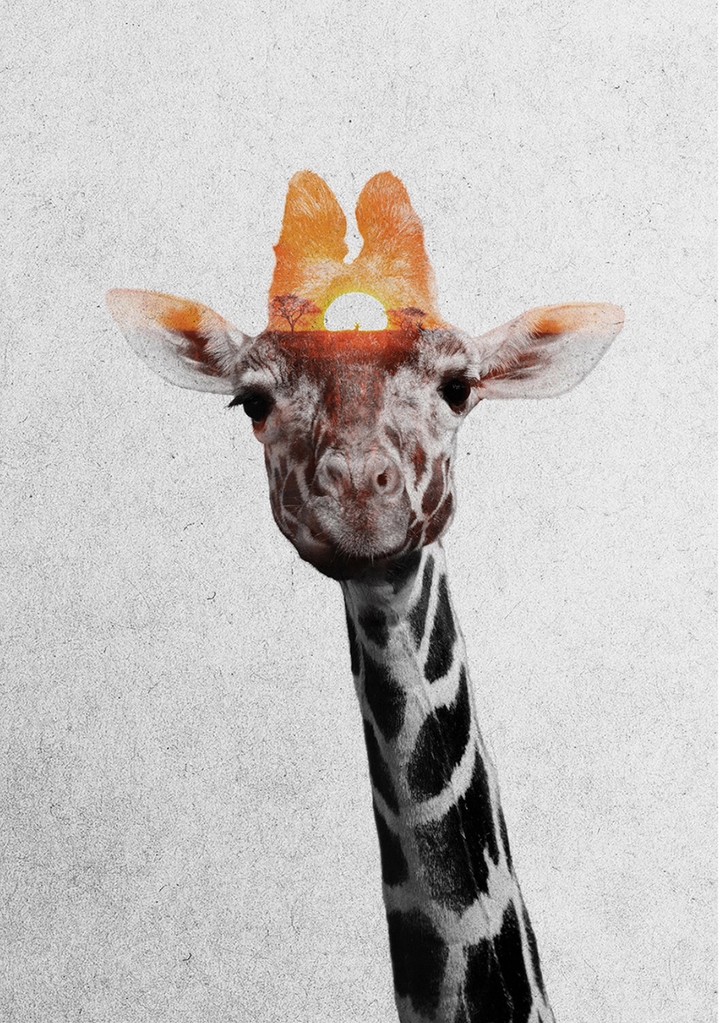 Giraffe, also double negative