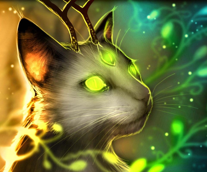 Чудо кошка