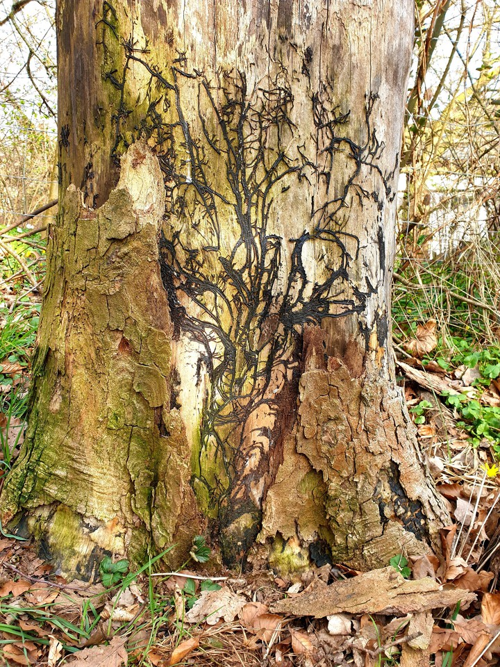 Baum im Baum