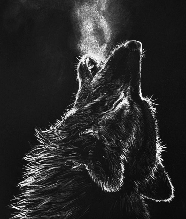 wolf
