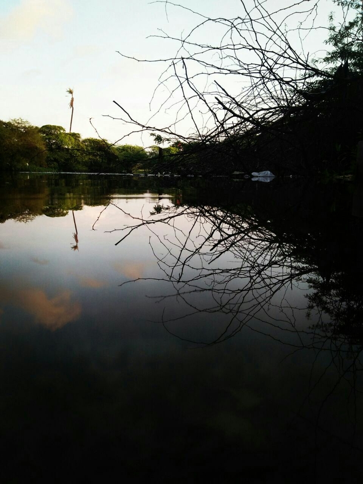 near lake
