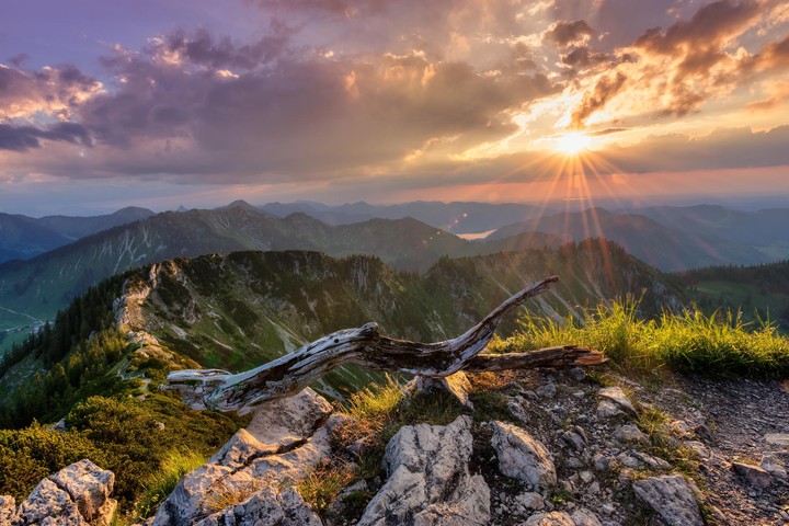 Landscape