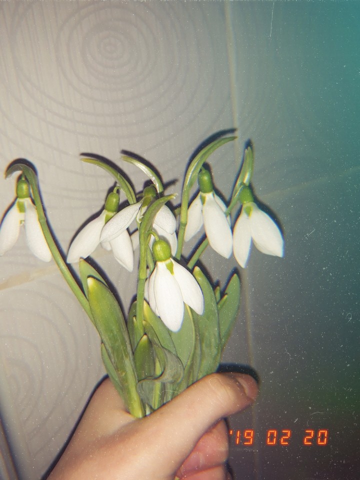 ?????⚘???