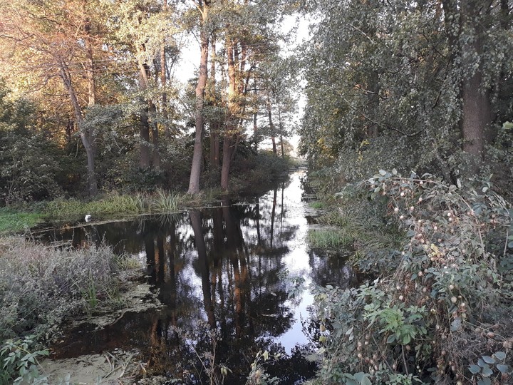 river