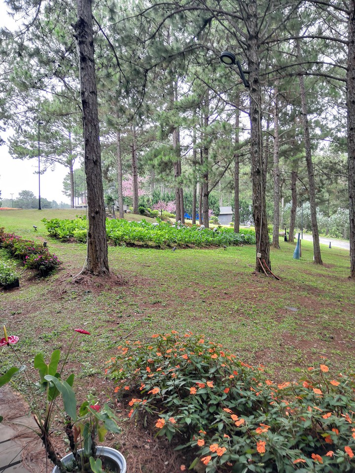 ĐÀ LẠT VIỆT NAM