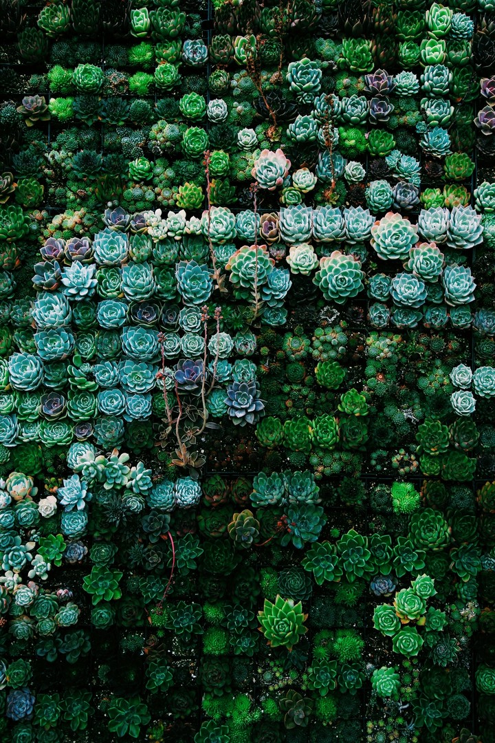 garden 4k