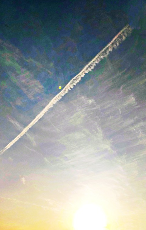 Late Afternoon