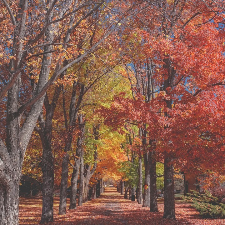 road to Autumn